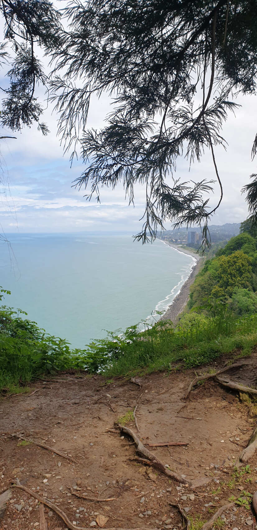 Грузия в одном дне: Индивидуальный трансфер-путешествие из Тбилиси в Батуми. (7/20)