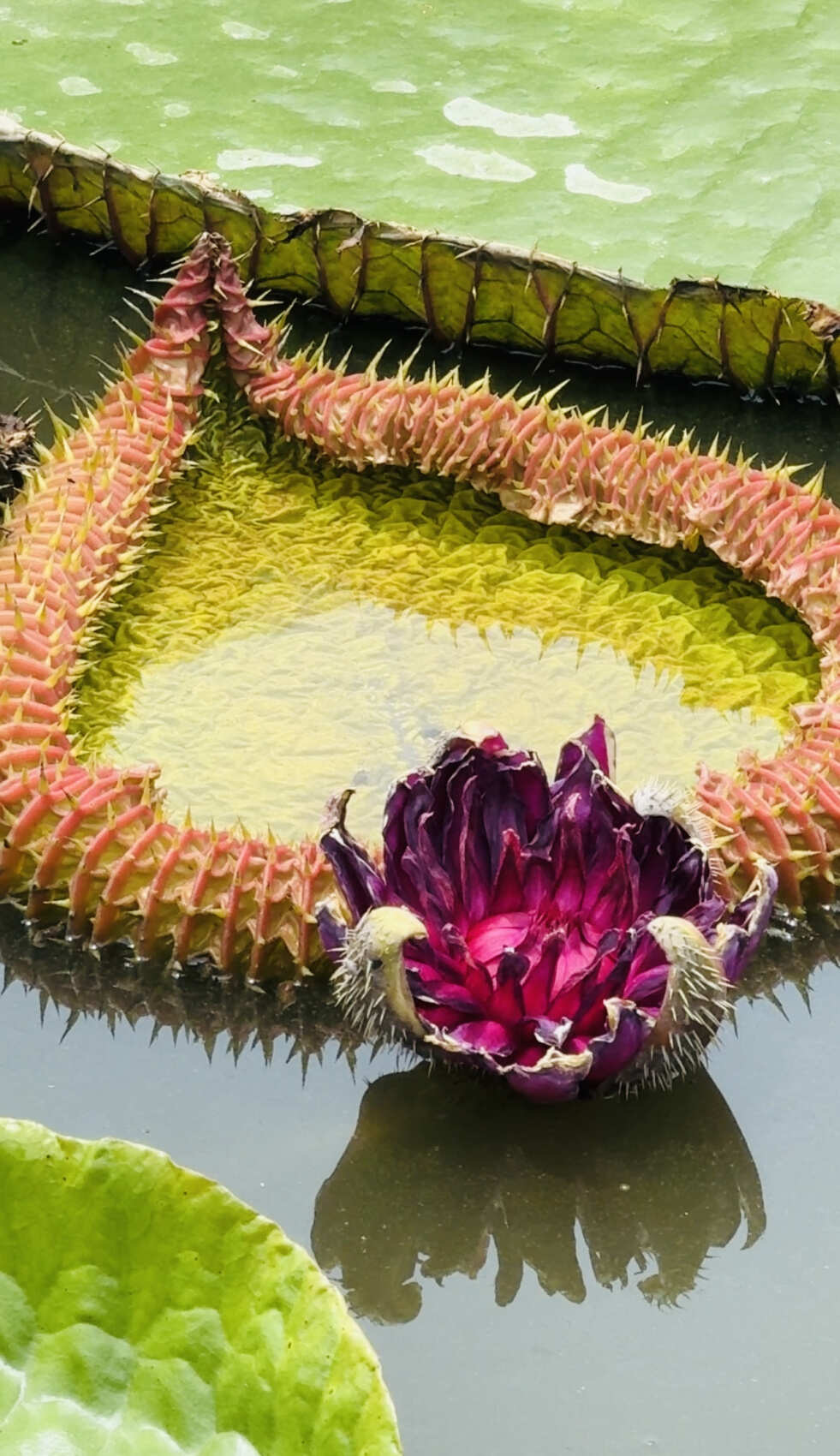 Таиланд за восемь экспедиций. Семь провинций Королевства Таиланд (45/113)