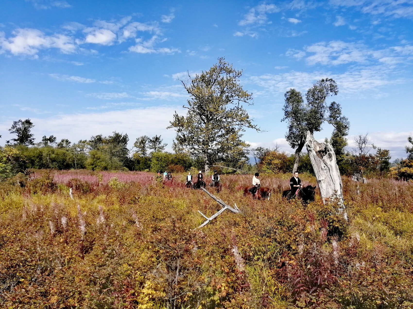 Конный тур к реке Авача (3/17)