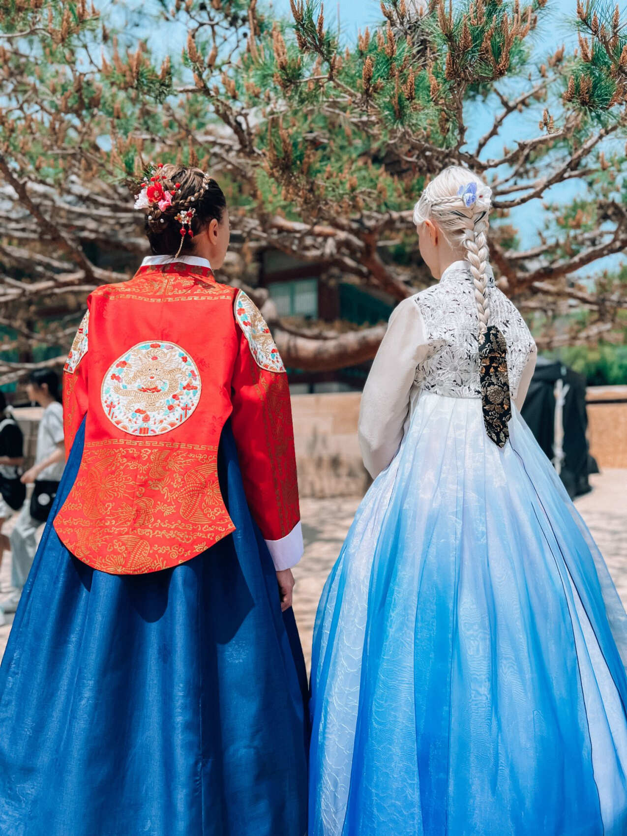 Южная Корея и остров Чеджу. (26/101)