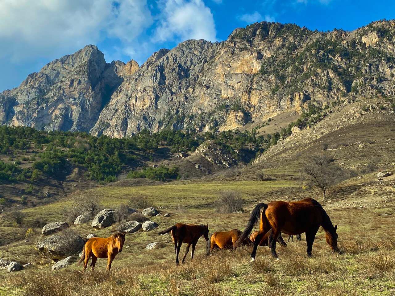 Чечня и Ингушетия. Знакомство с культурой вайнахов