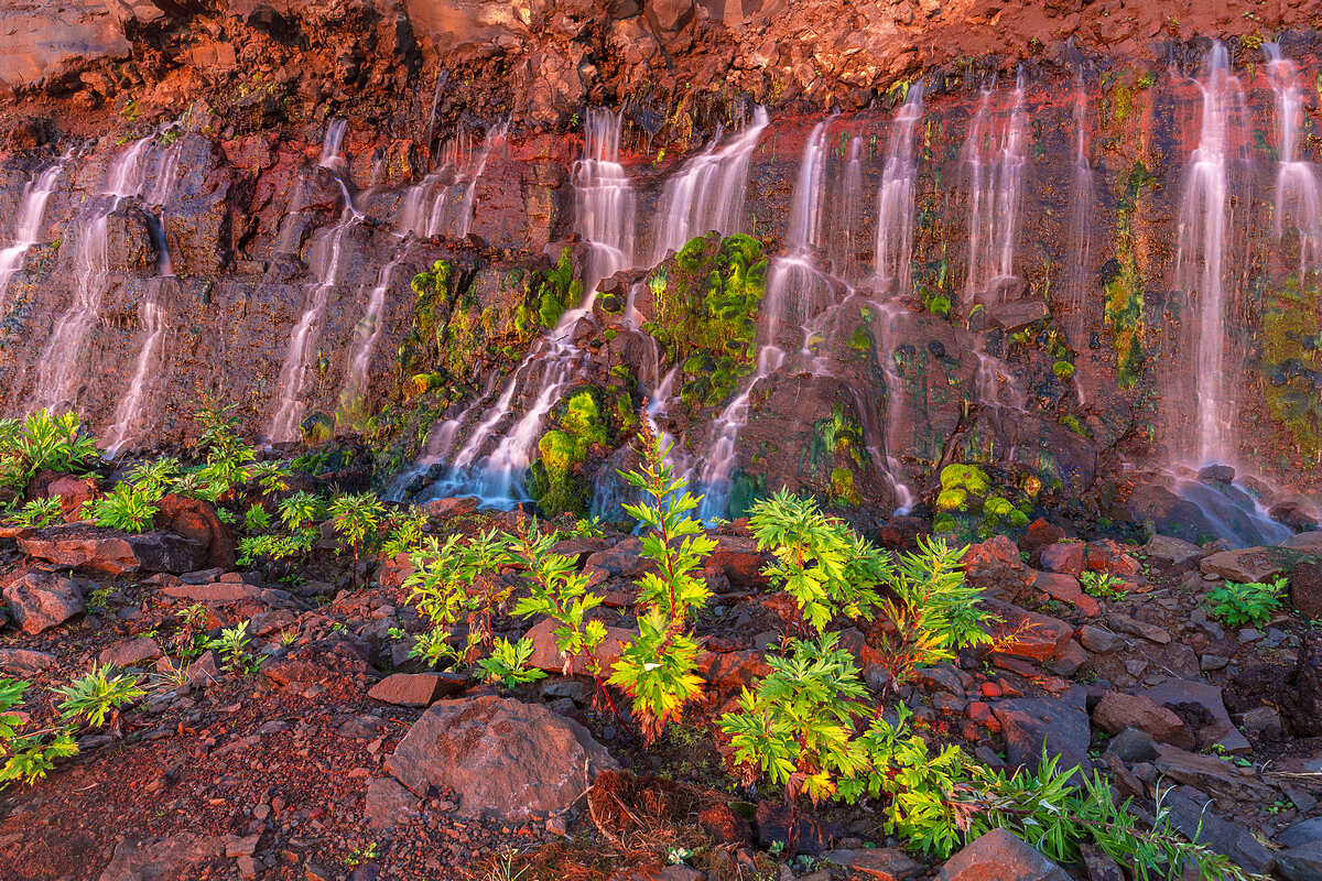 Тур на Курилы ( о.Итуруп ) (2/19)