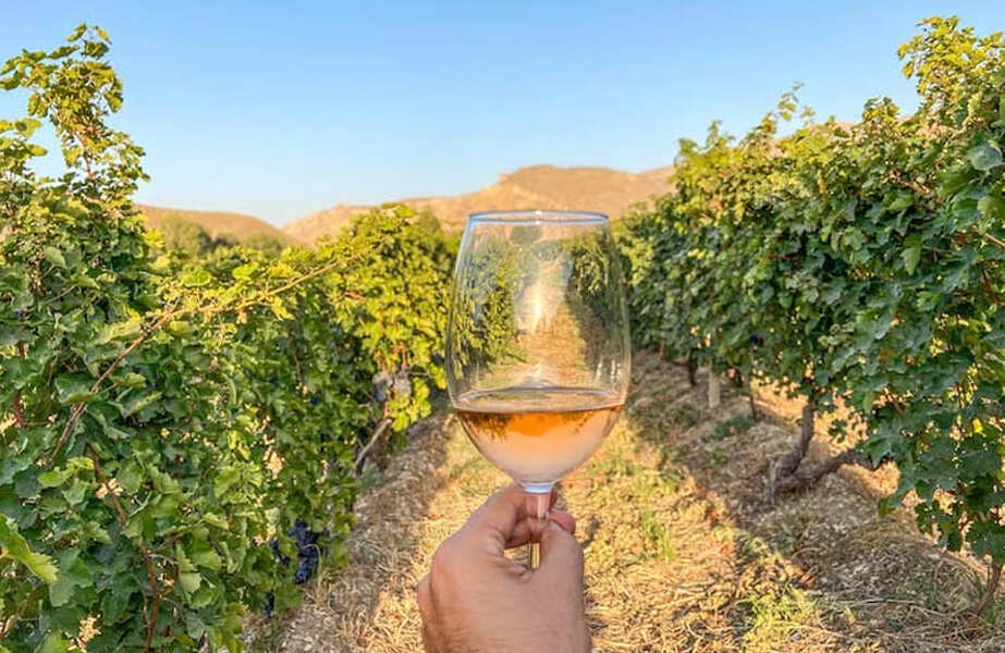 Экскурсия в Хор Вирап (гора Арарат)  - пещера Арени - Нораванк (14/18)