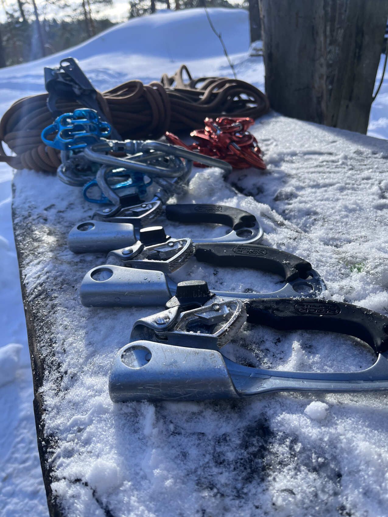 Основы альпинизма на Малых Скалах. Однодневный выезд из Петербурга