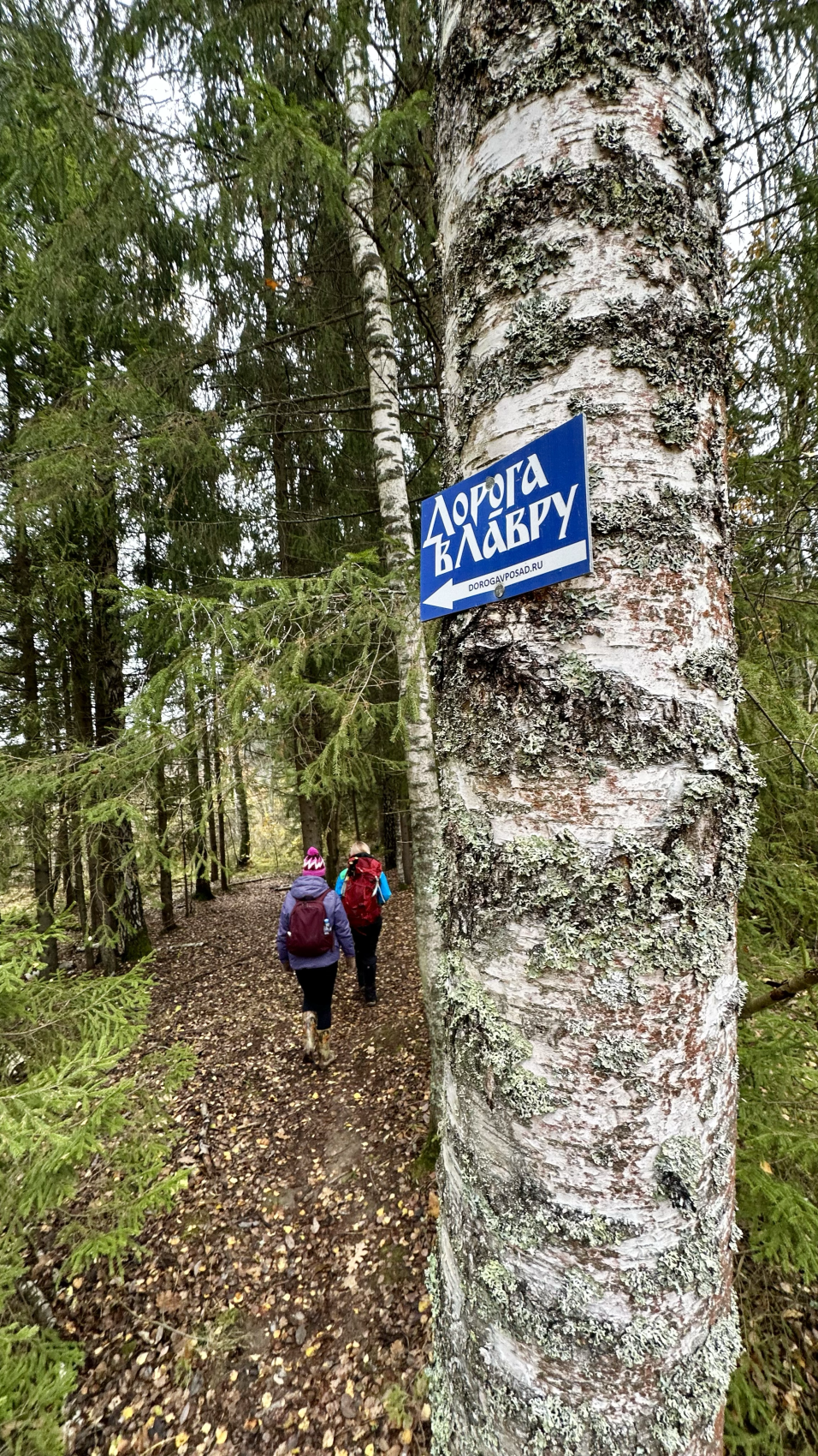 Пеший поход Дорога в Лавру. Лесной скит (8/14)
