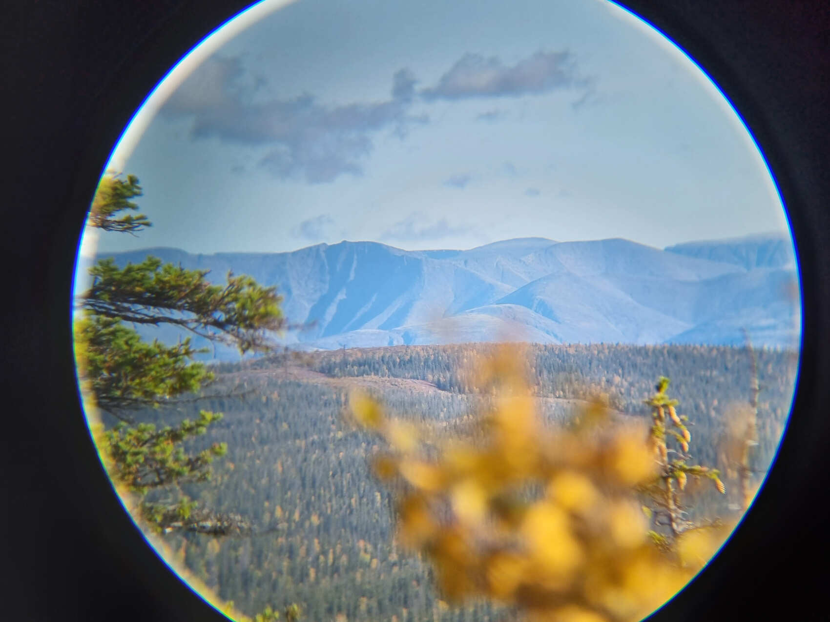 Мончегорск- красивый город в тундре и/или Лапландский заповедник (6/10)