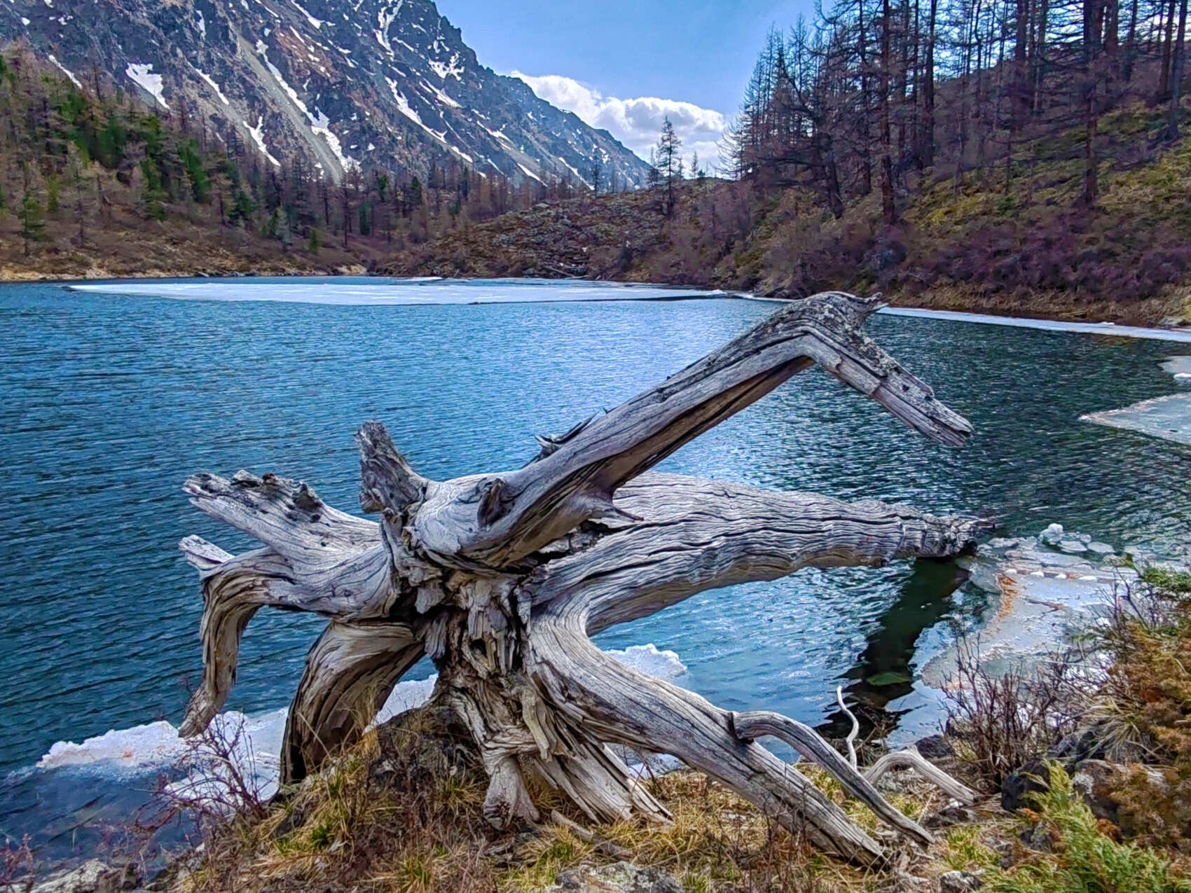 Актив-тур: конные прогулки, трекинг, Чуйский тракт! (50/63)