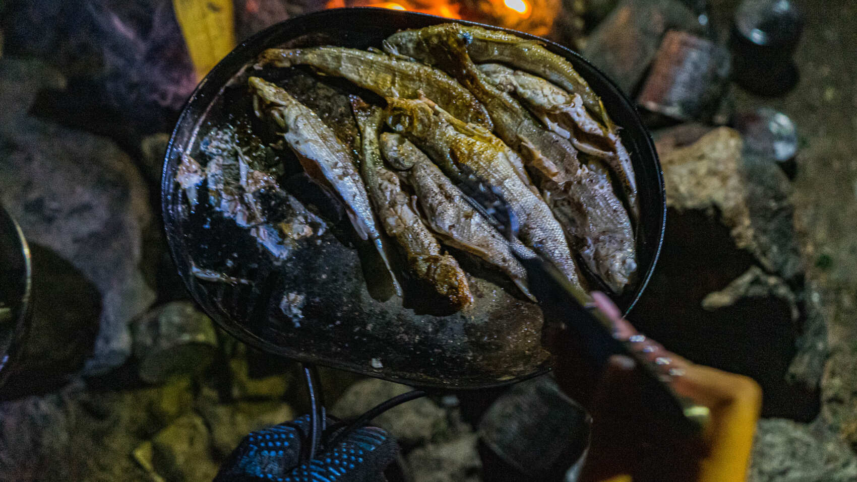 Треккинг к Шавлинским озерам c конным сопровождением (58/88)