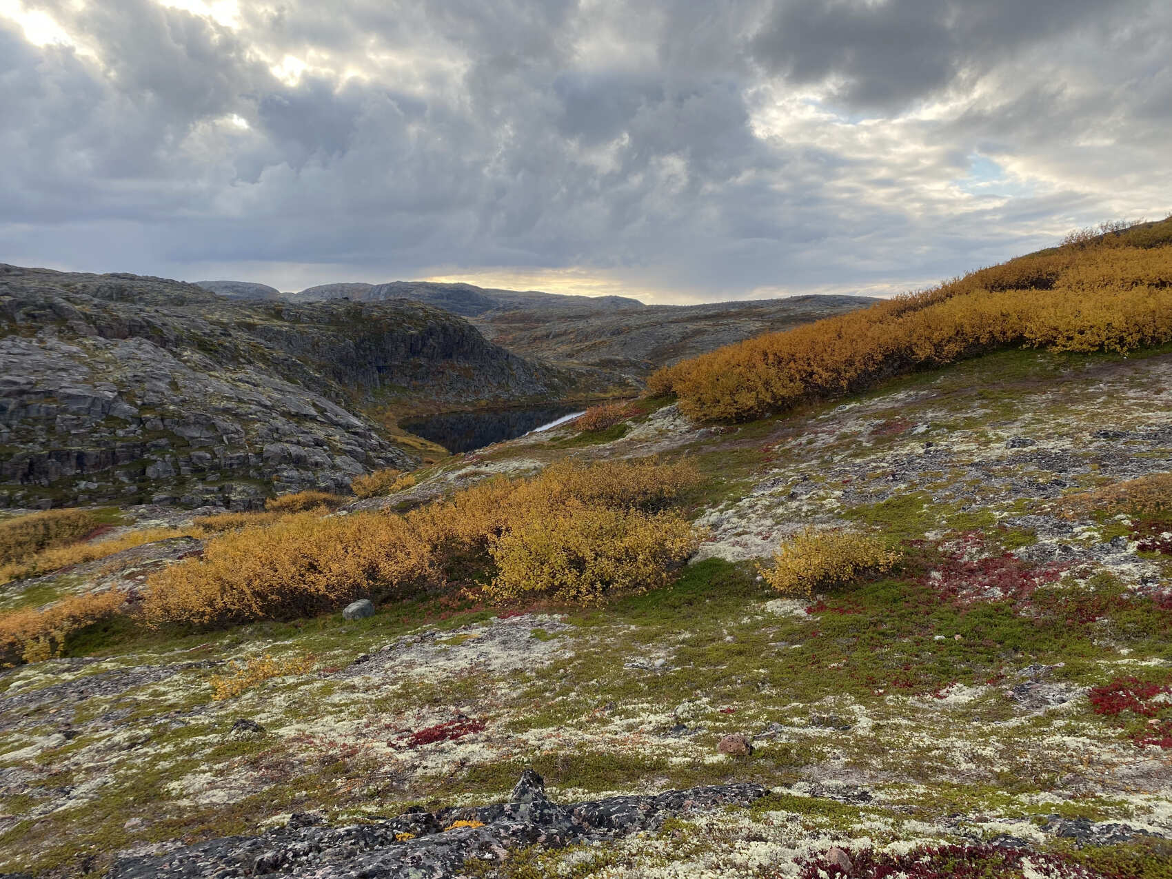 Премиум-глемпинг, этнодеревня и Кировск, Териберка и Мурманск (27/52)