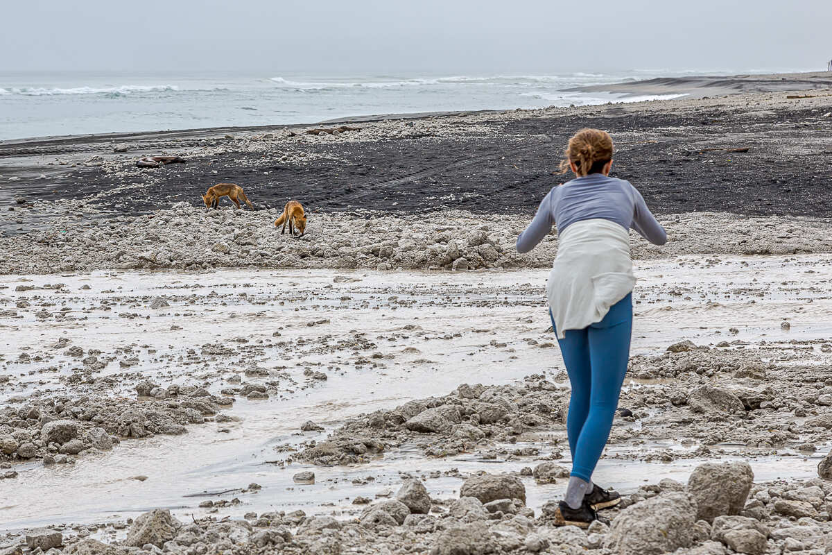 Четыре вулкана Курильских островов. Путешествие на другую планету (35/186)