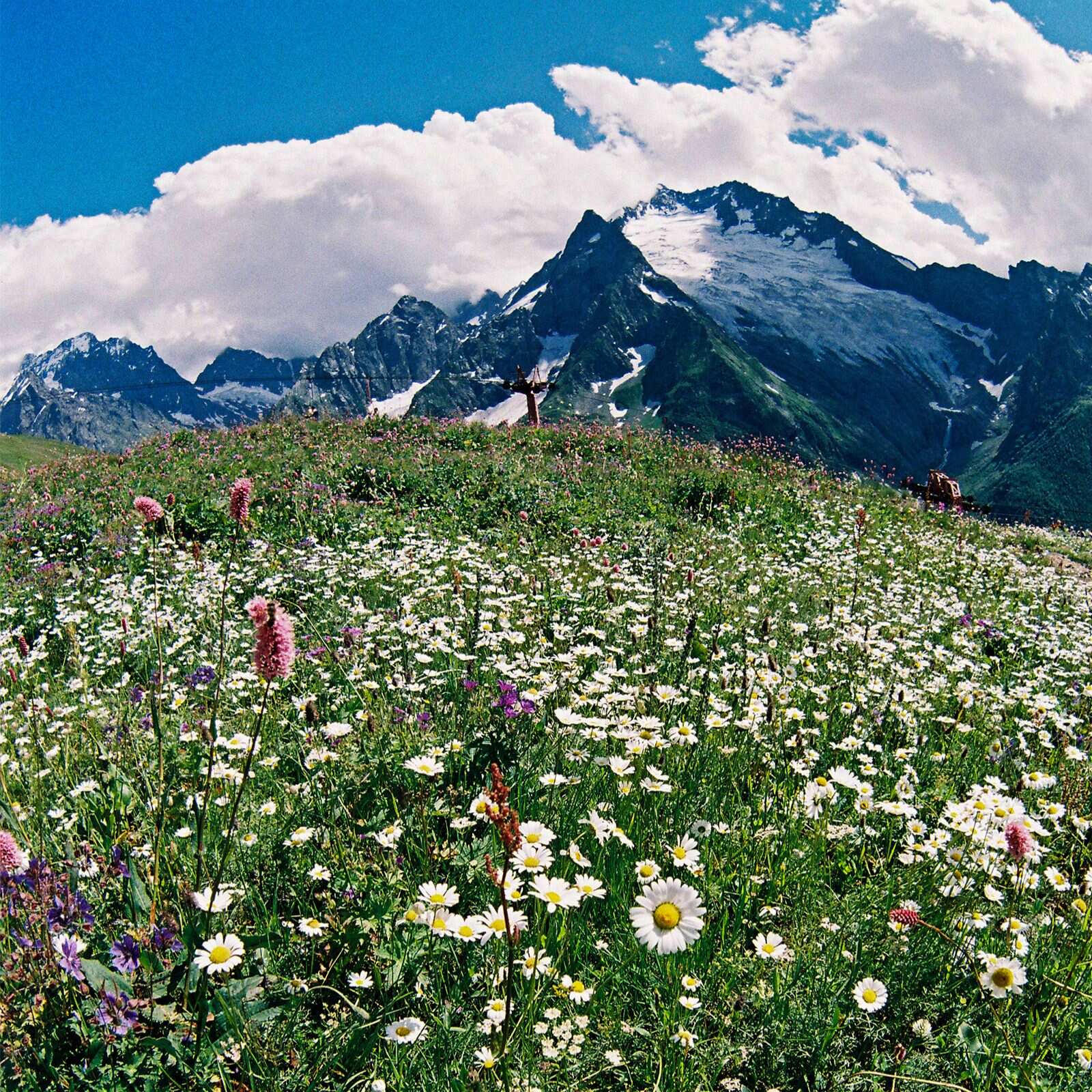 Сокровища Домбая (6/29)