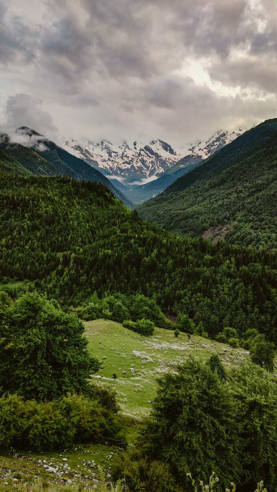 Дикая Грузия+Хевсуретия на внедорожниках (22/57)