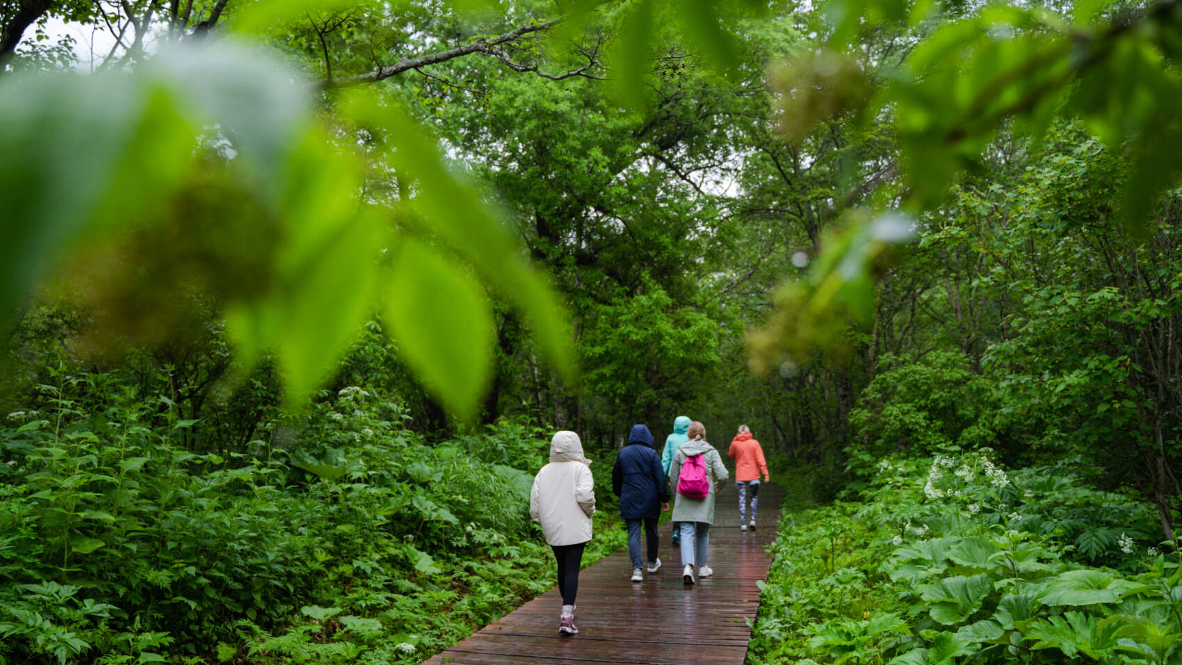 Комфортная экспедиция на Итуруп и Сахалин (17/61)