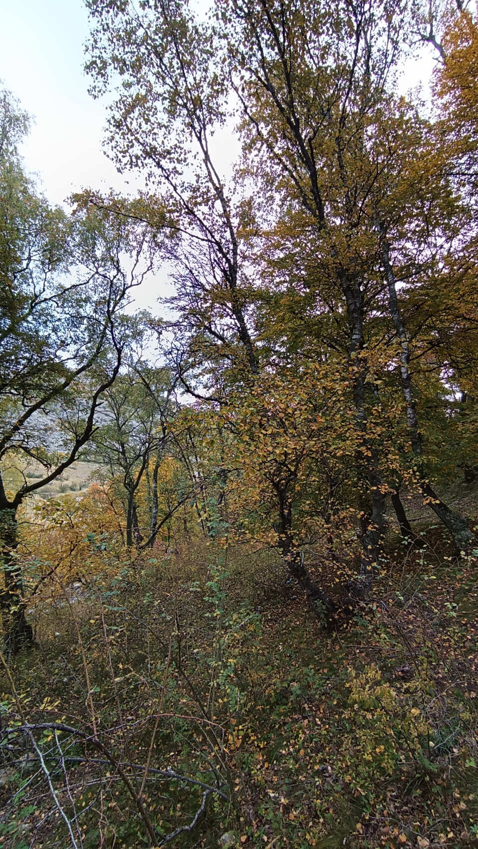 Восхождение на гору Маяк в Гунибском районе