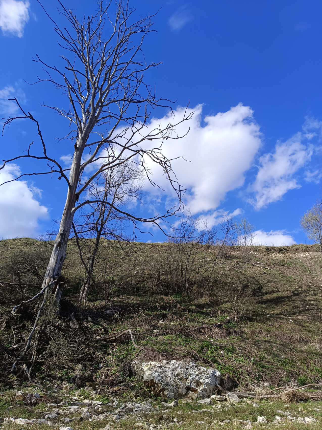 Сплав по реке Дёржа (Тверская обл.) на байдарках (1 день) (17/30)