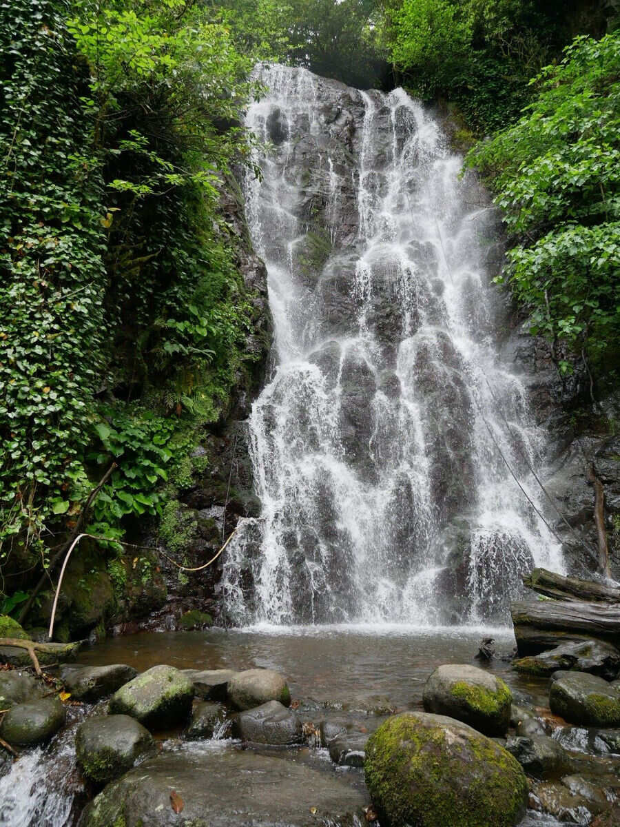 Индивидуальная Экскурсия  по горной Аджарии - потрясные виды, водопады (4/9)