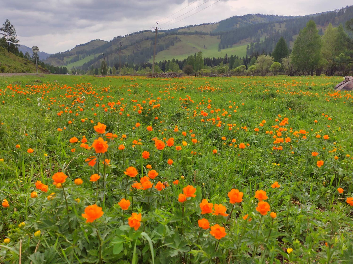 Сердце Горного Алтая: до Монголии и обратно (18/82)