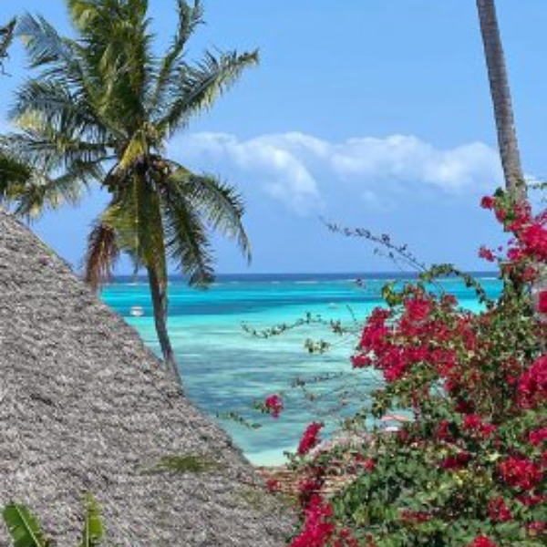 Занзибар: Приключения в Раю (12/55)