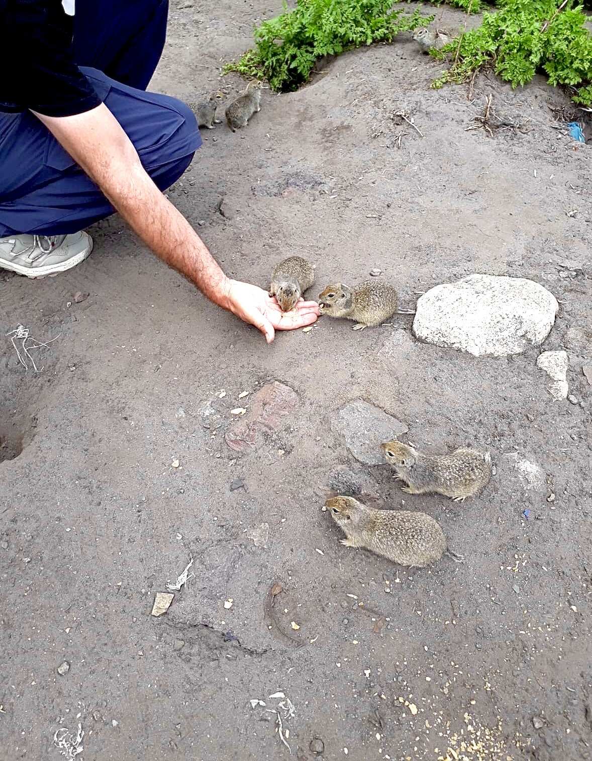 Джип тур В Урочище  Джилы - Су из Пятигорска (7/15)