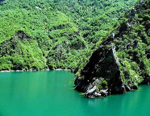 Албанские каникулы (5/56)