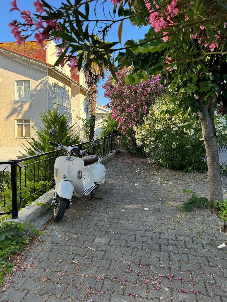 Стамбул: Великолепный Век и Принцевы Острова (51/66)