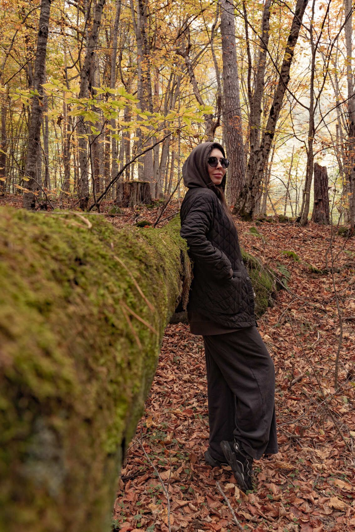 Северная Осетия и Кабардино-Балкария (28/91)