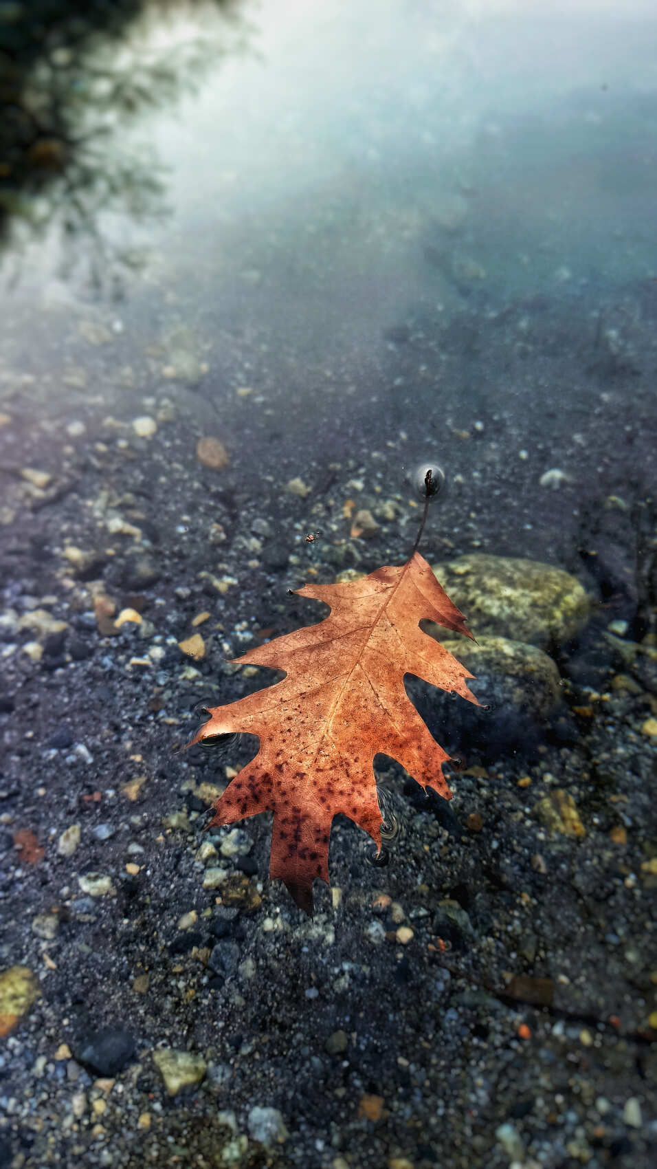 Язык Тролля и Голубые озёра, индивидуальный тур - экскурсия в Верхнюю Балкарию (13/26)
