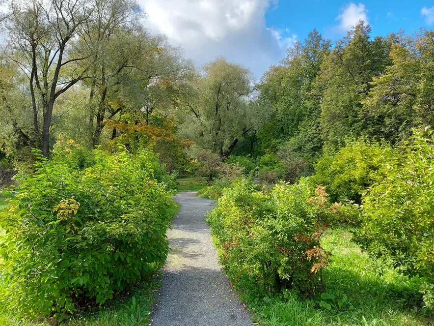 Осенняя пора! Очей очарованье! Экскурсия в Большое Болдино (6/7)