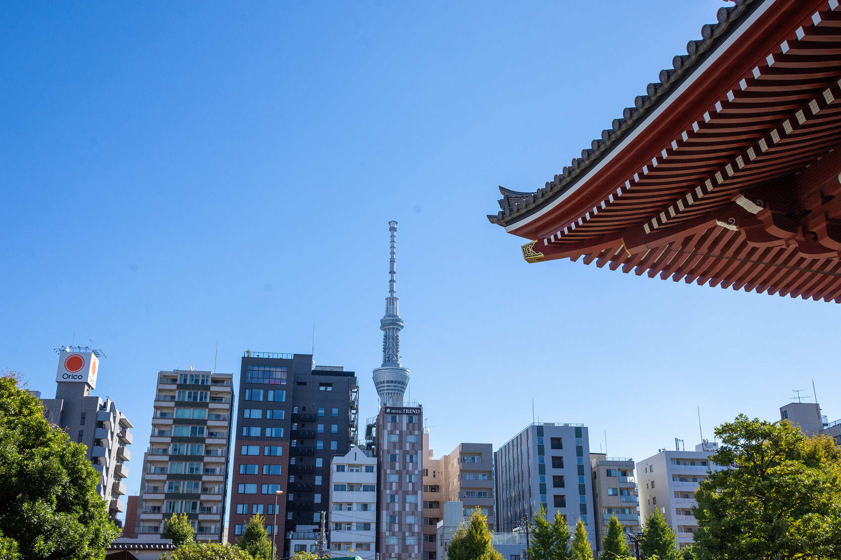 Сакура в Японских Альпах (12/48)