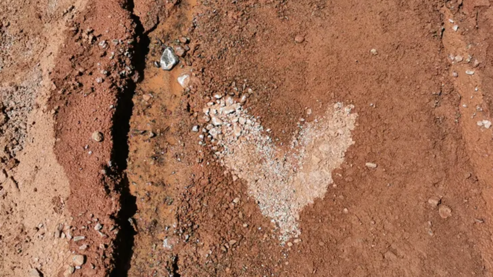 Топ-Weekend на лазурном Иссык Куле: ультра красота и комфорт (19/32)