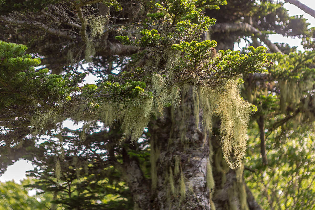 Весь Шикотан. Путешествие на другую планету (13/140)
