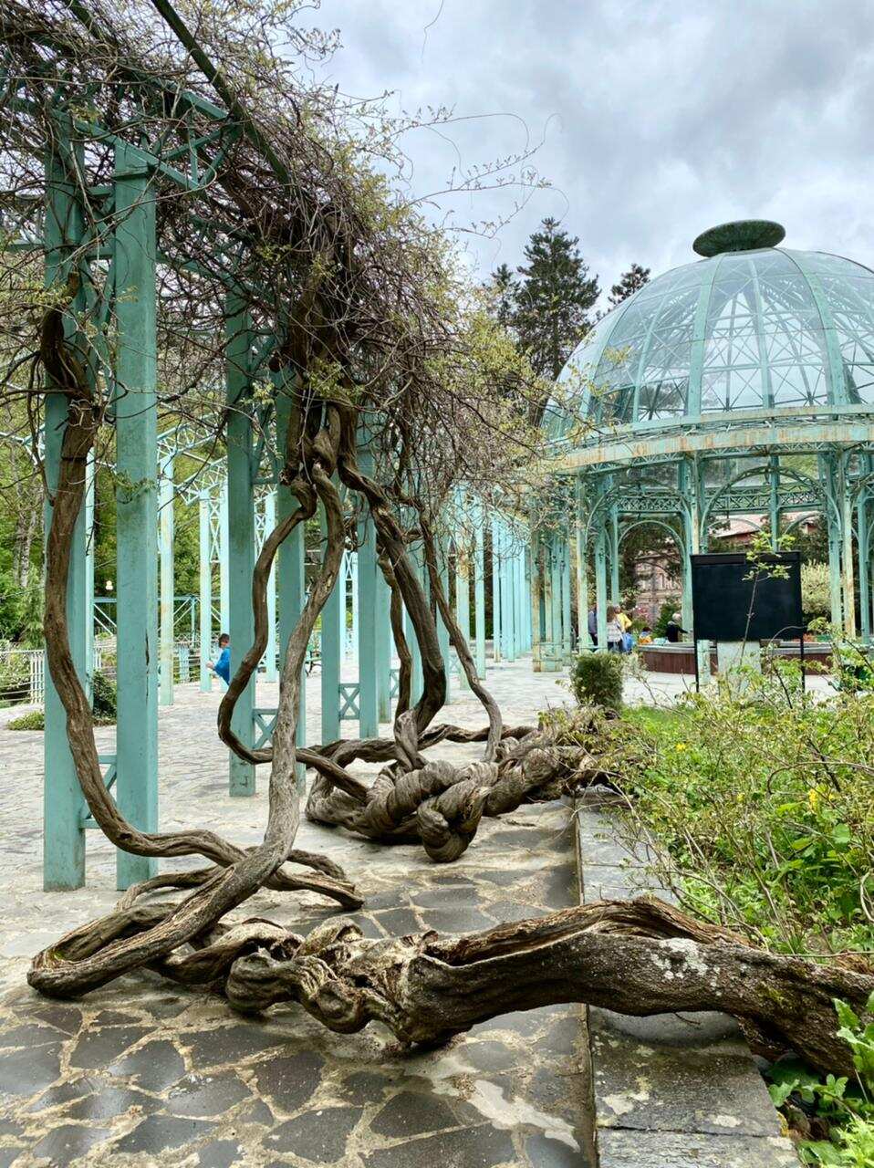 Грузия в одном дне: Индивидуальный трансфер-путешествие из Тбилиси в Батуми. (10/20)