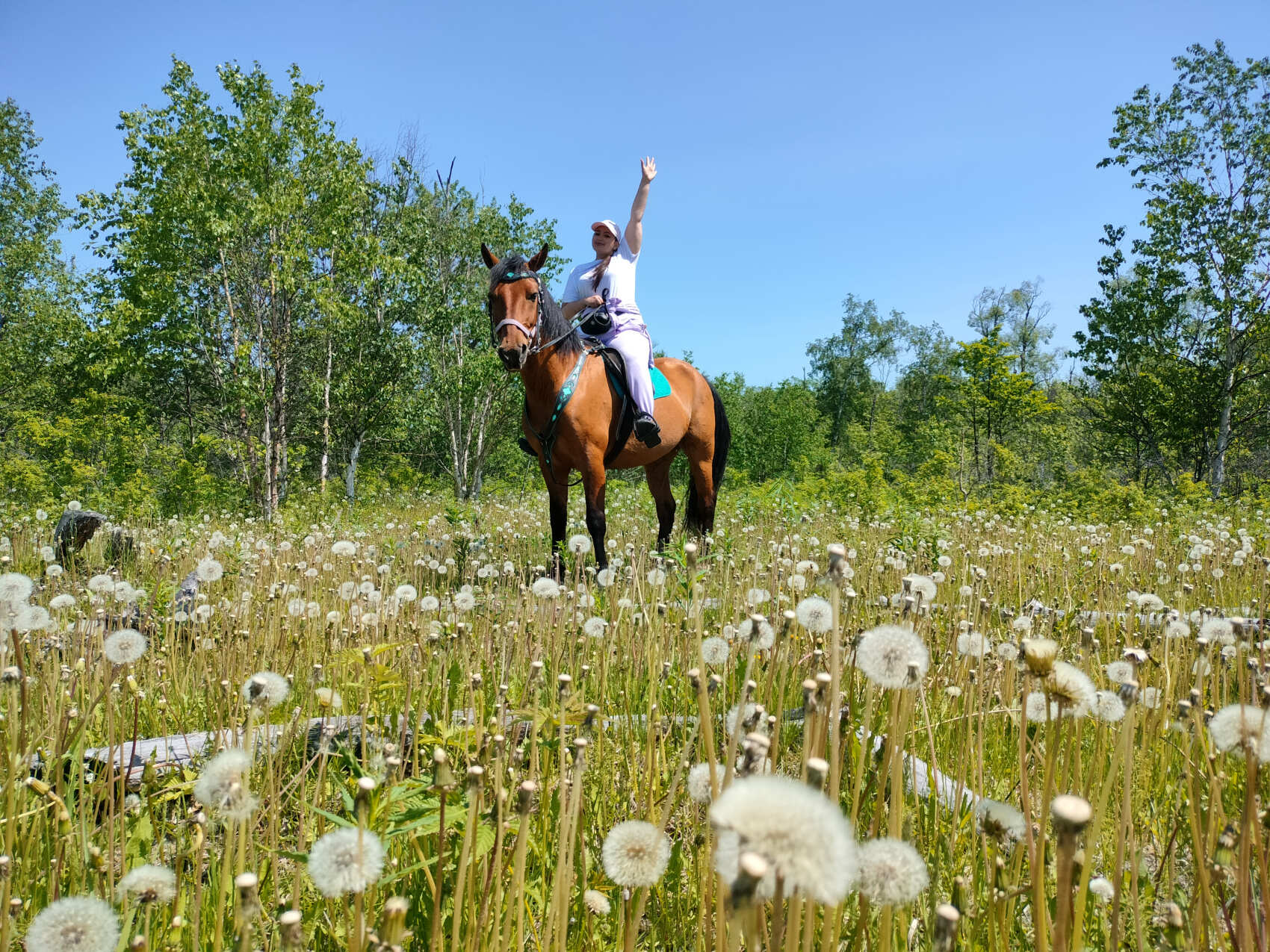 Конный тур в Медвежий Угол (8/17)