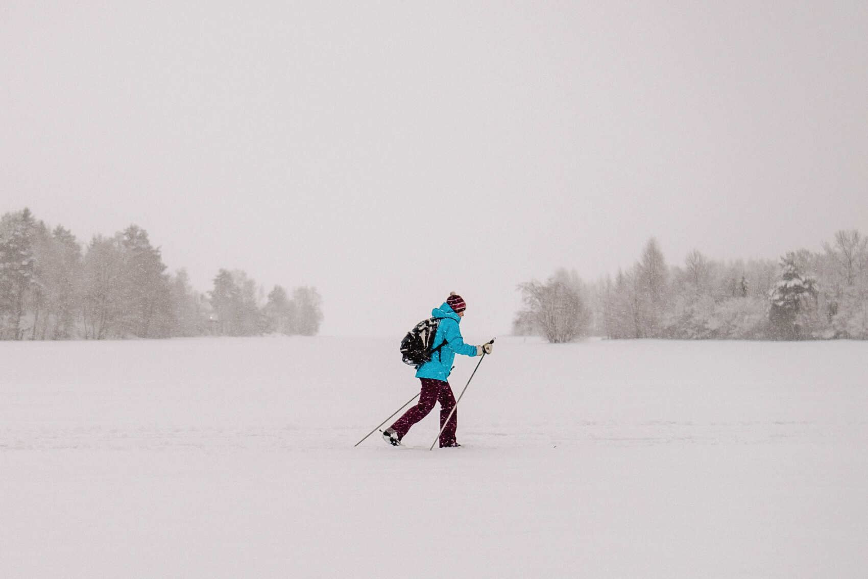 Лыжные тренировки в Санкт-Петербурге. Базовый уровень (14/28)