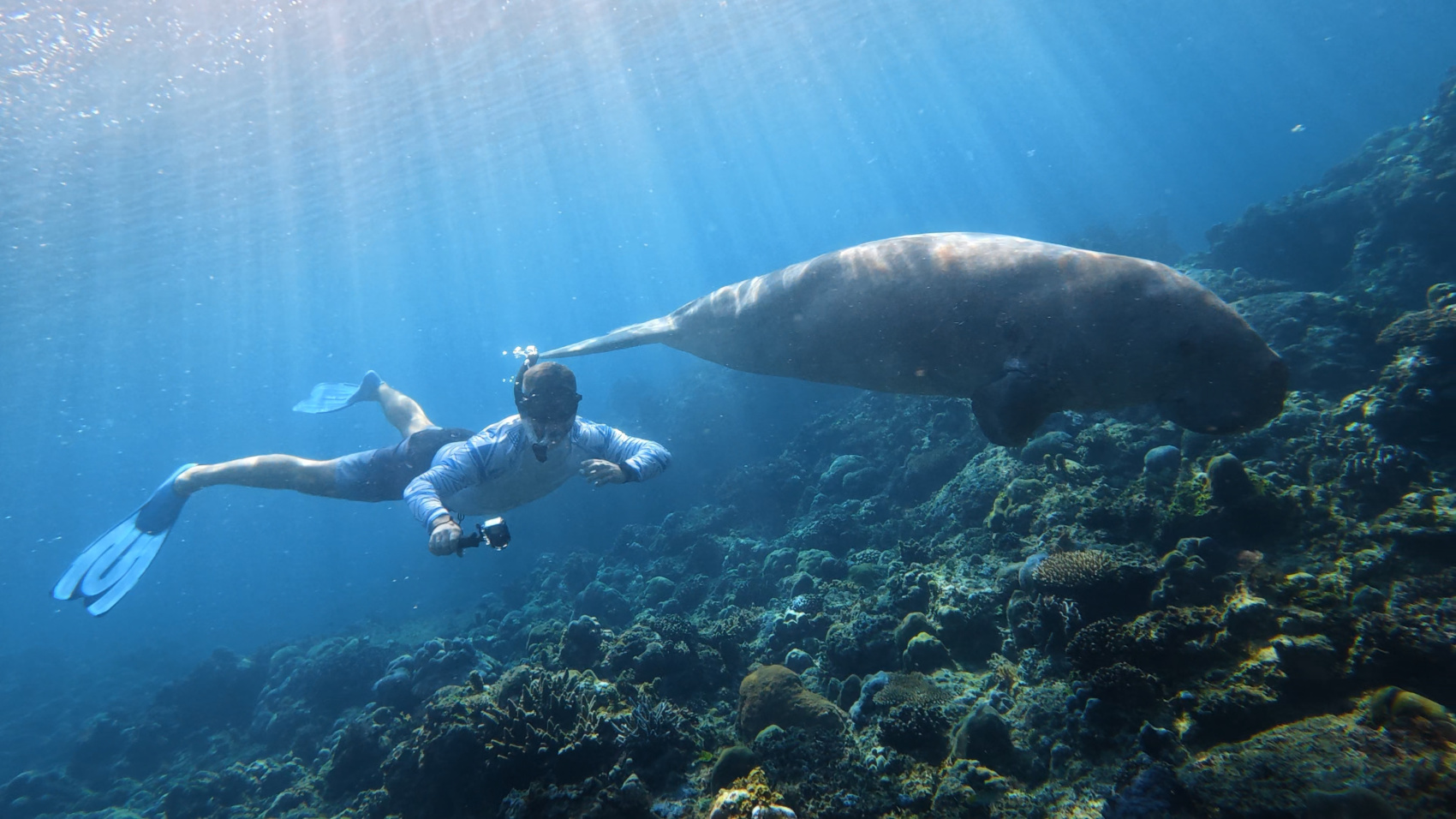 Приключения на Филиппинах: рейд по островам, джунгли и подводный мир (106/150)