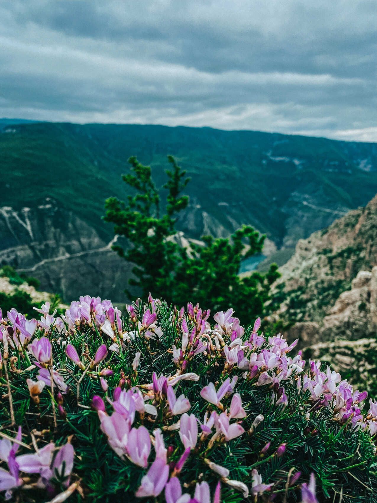 Сулакский каньон и Бархан Сарыкум из Дербента (2/10)