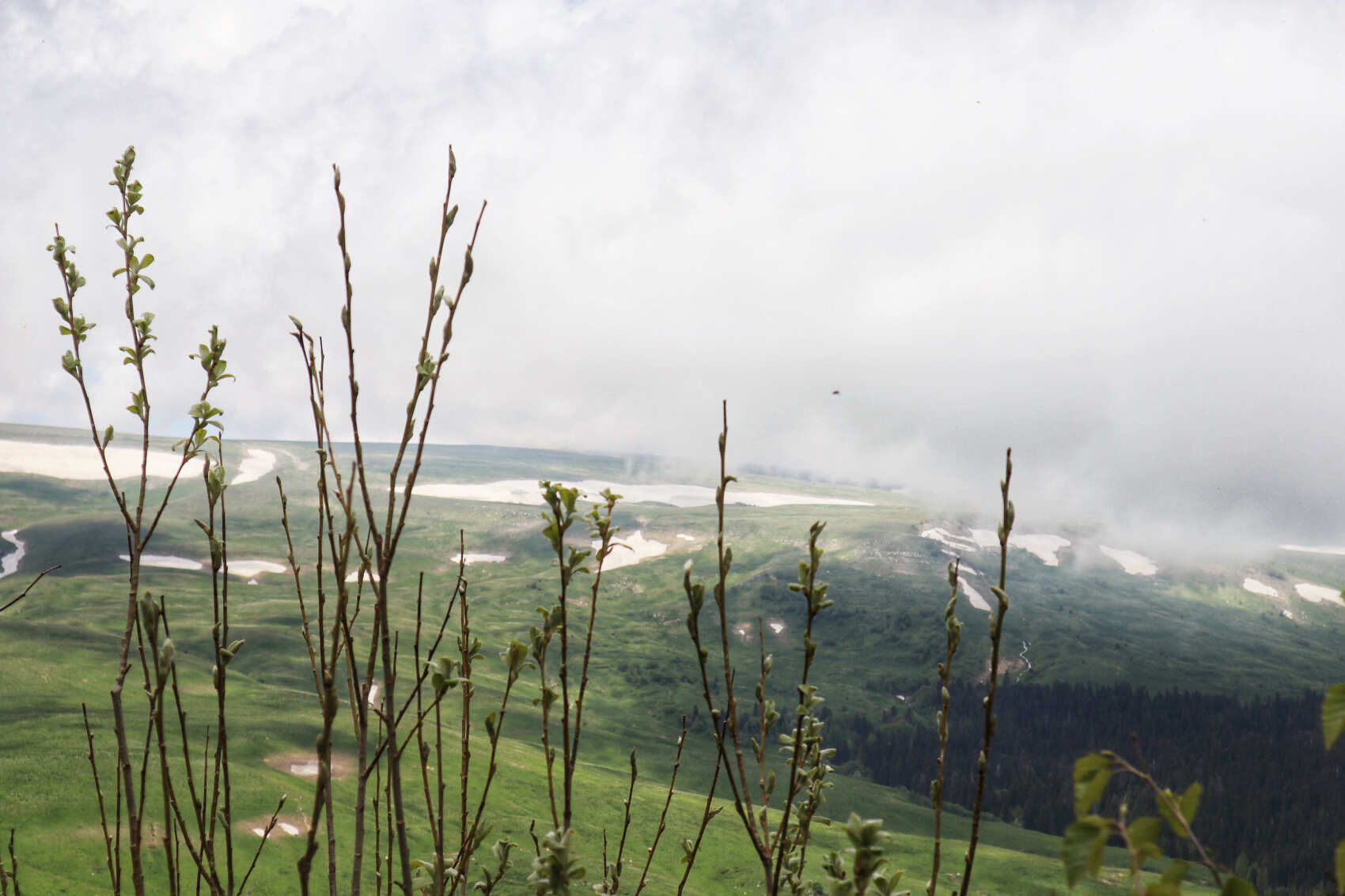 Адыгея за 3 дня: природа, термы и сыр (индивидуально, по запросу) (6/20)