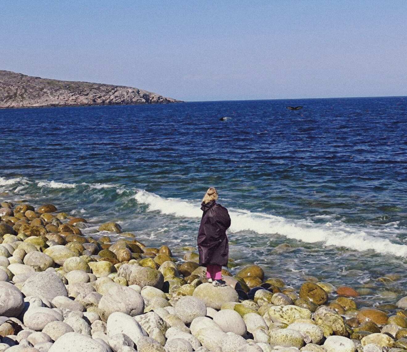 Териберка - Фотоохота за северным сиянием. 3 дня на Краю Света! (6/65)