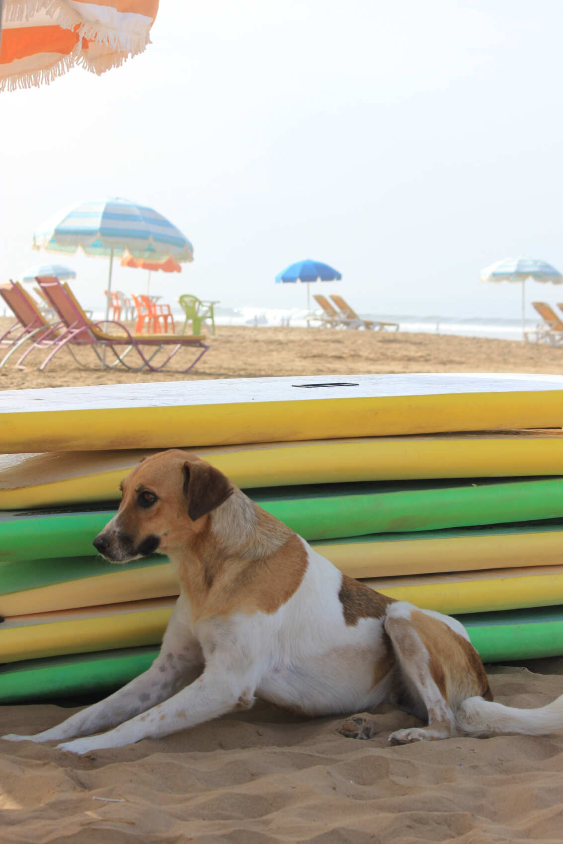 2 в 1: тур по всему Марокко + неделя серфинга! Путешествие на 15 дней с комфортом (59/113)