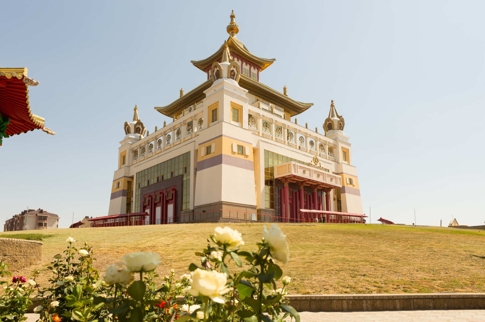 Тюльпаны Калмыкии: этнотур (9/49)