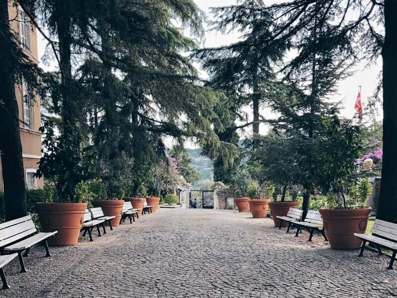 Самый зеленый из Принцевых островов — круглый год (6/11)