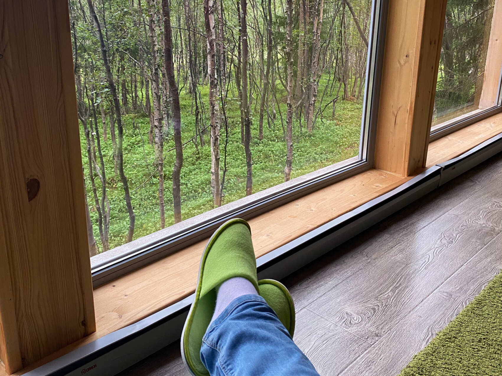 Кольский Экспресс: эко-отель в лесу + 2 экскурсии (10/26)