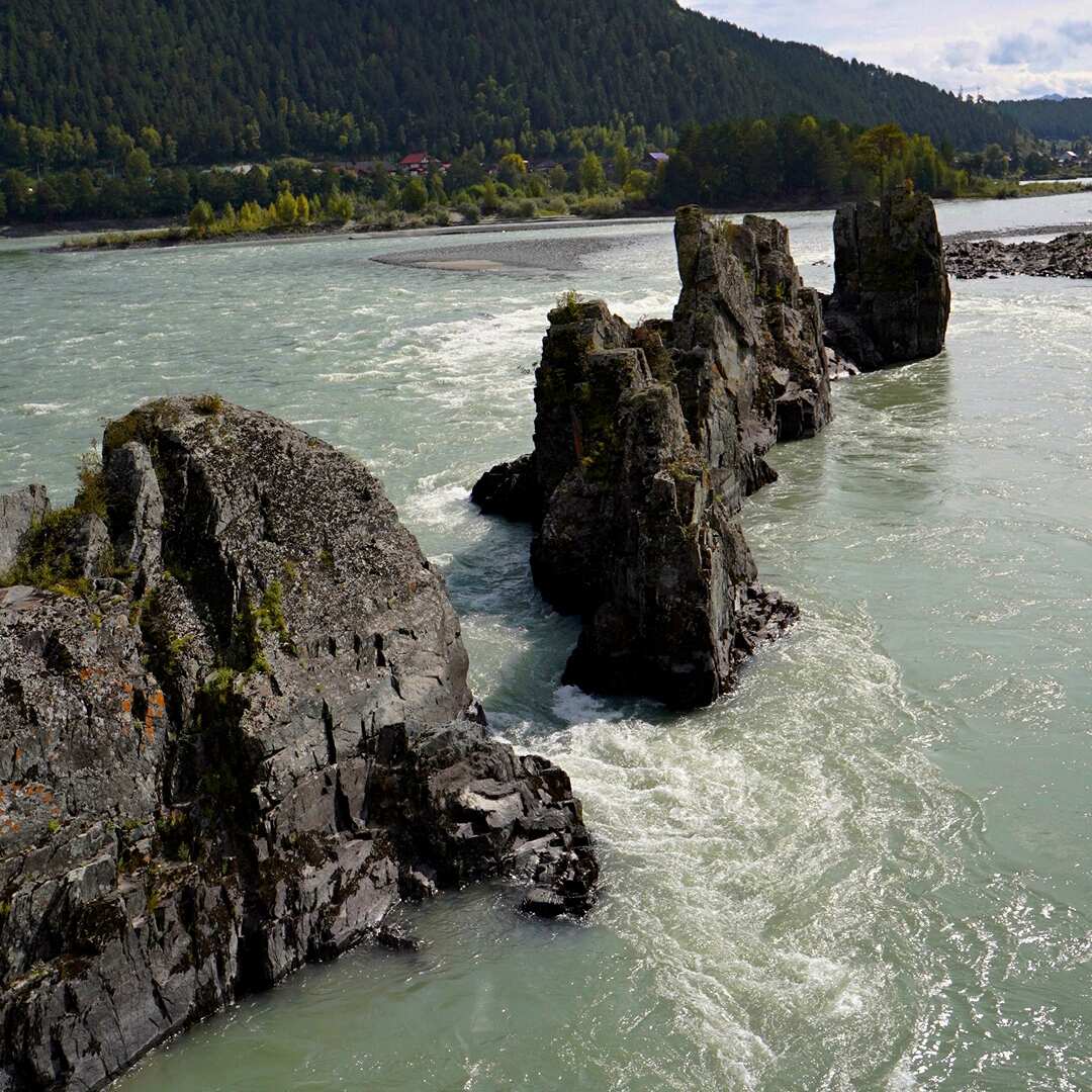 Экскурсия Чемальский район (2/11)