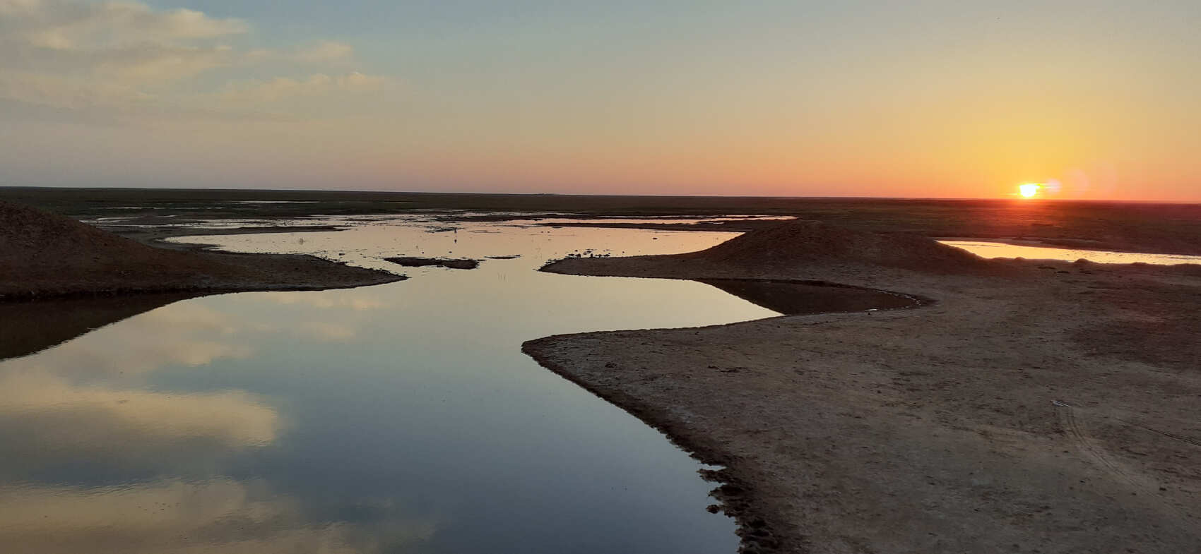 Калмыкия, тюльпанные поля, озеро Баскунчак и Золотая Элиста (5дн./5 ноч.) (5/51)