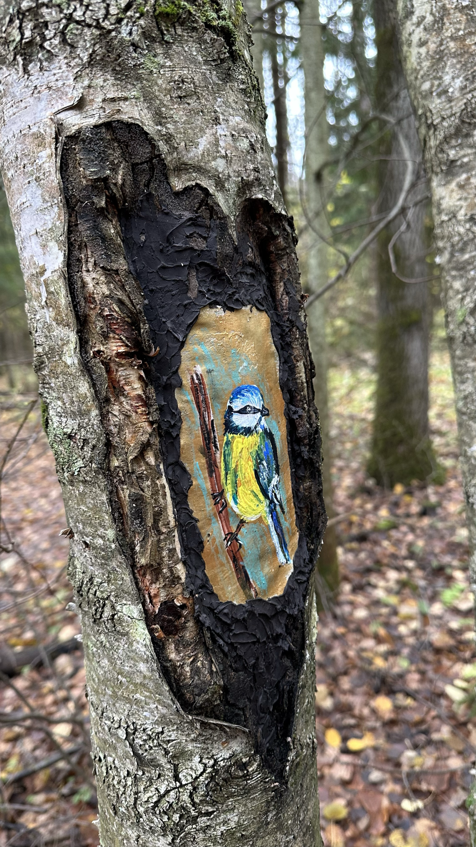 Пеший поход Дорога в Лавру. Лесной скит (10/14)