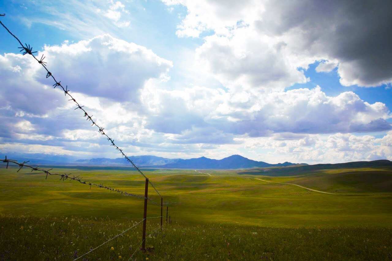 ВНЕ ПОПУЛЯРНЫХ МАРШРУТОВ (36/59)