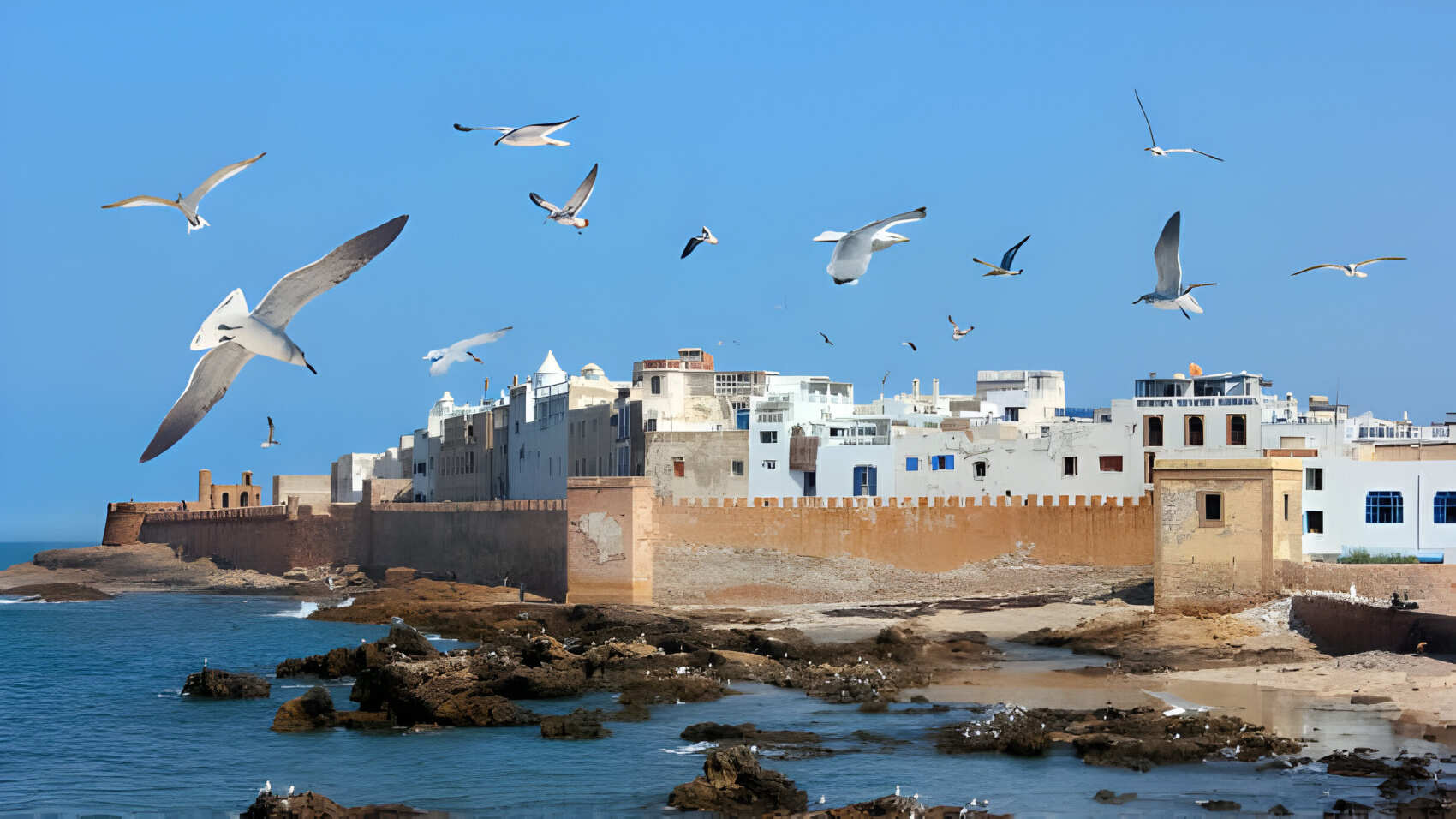 Best Morocco Tours 14Days 13Nights  (5/34)