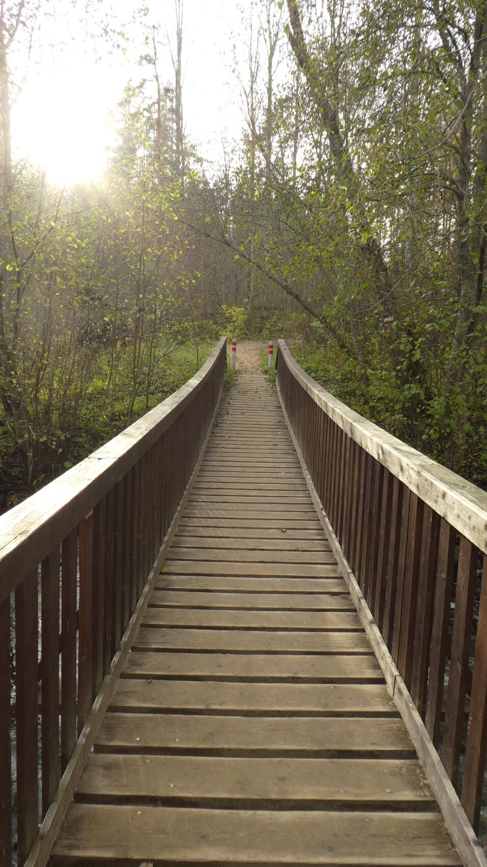 По тропам Ленинградской области. Петяярви. (8/9)