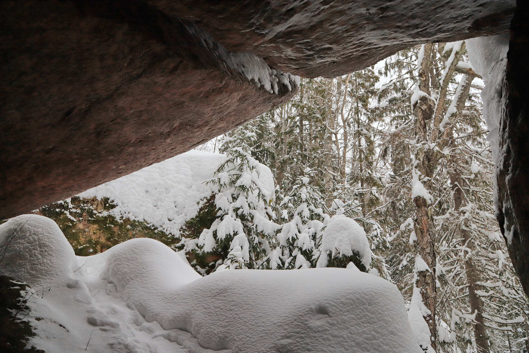 Лыжи и Спа. Однодневный выезд под Выборгом (11/16)