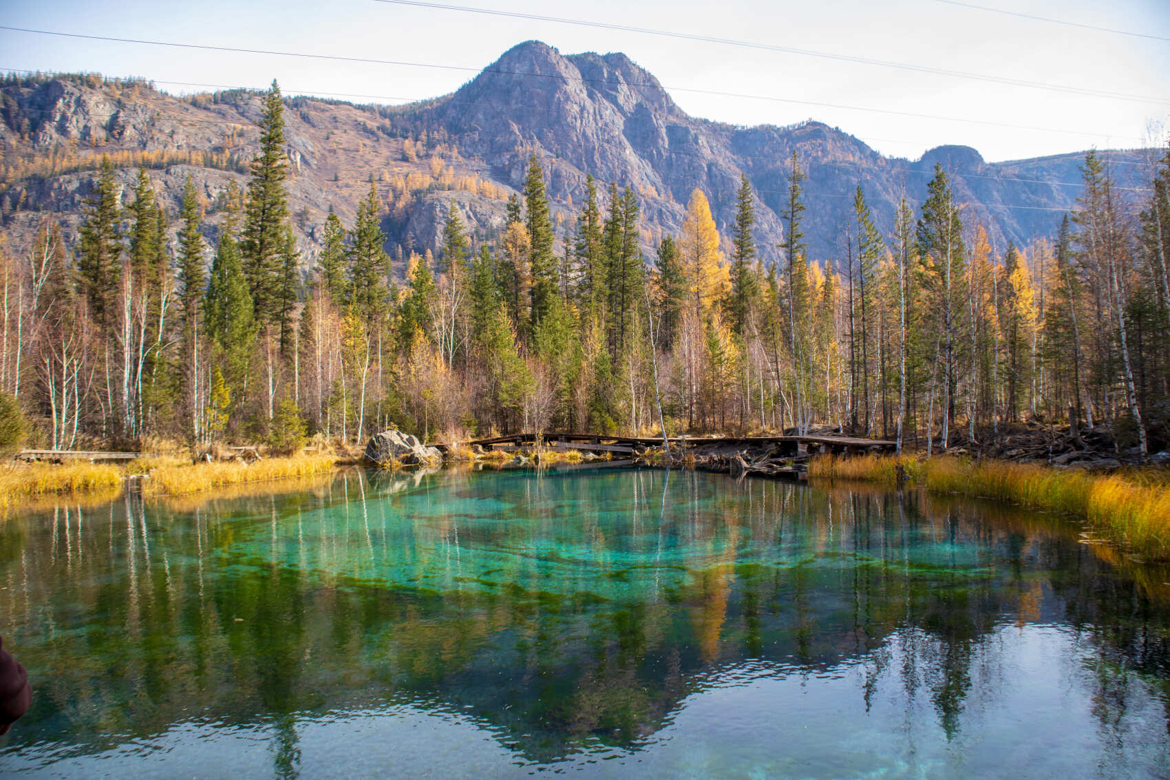 Алтай Аллегро 2026 (группа для 2-4 чел.) (6/34)
